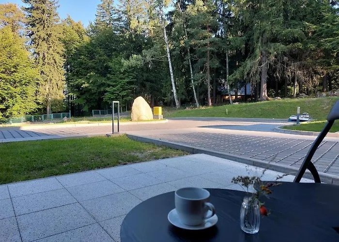 Mountain Lodge Studio Forset View