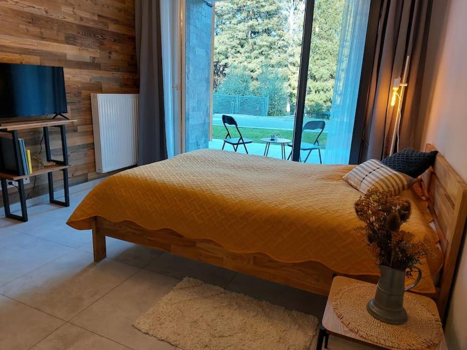 Apartment Mountain Forset View Szklarska Poreba