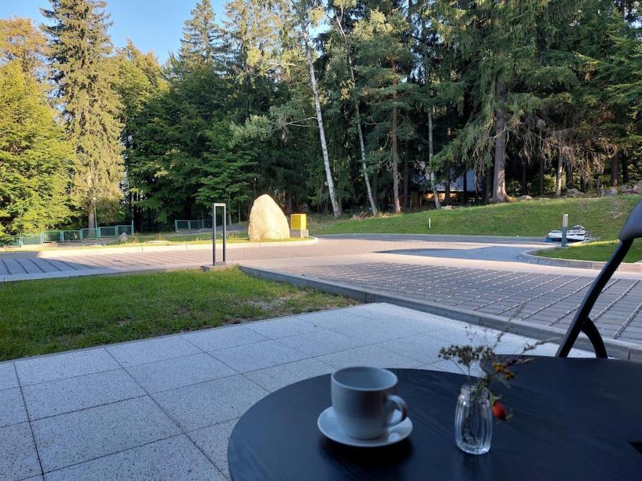 Mountain Forset View Apartment Szklarska Poreba